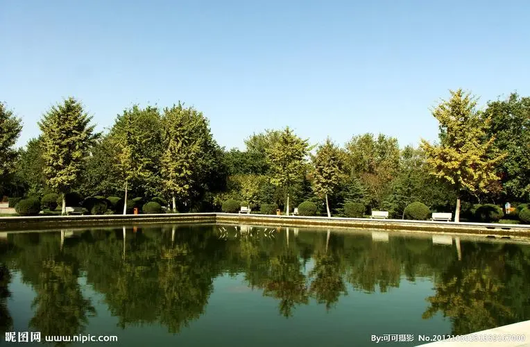 崇州城市绿化带种植什么植物好