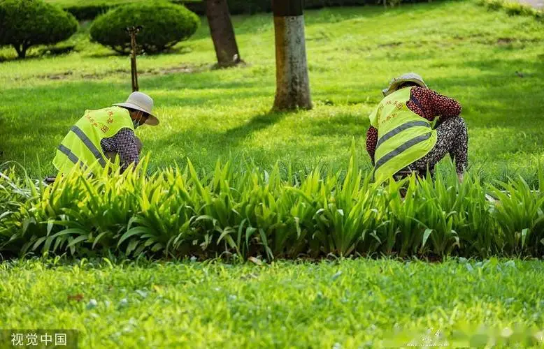 50000平园林景观设计