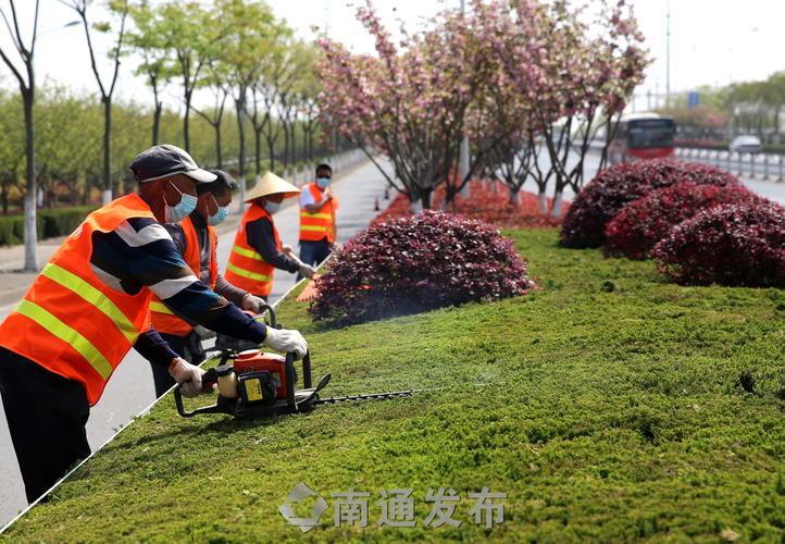园林管理机制暗疾愈显，建议提升人员素质与管理能力