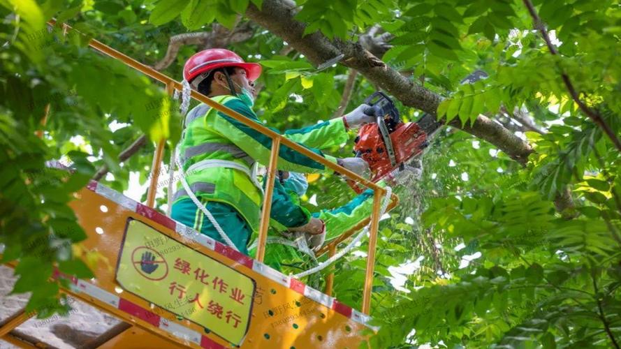 改善市政园林管理，打造宜居城市：建议加强市民参与和监督机制